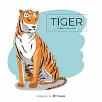 Бесплатное векторное изображение Рисованный тигр