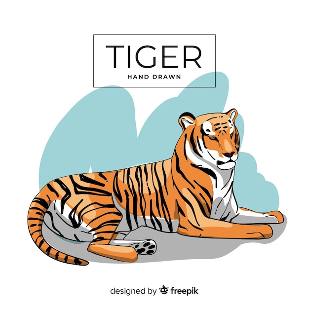 Free vector hand drawn tiger