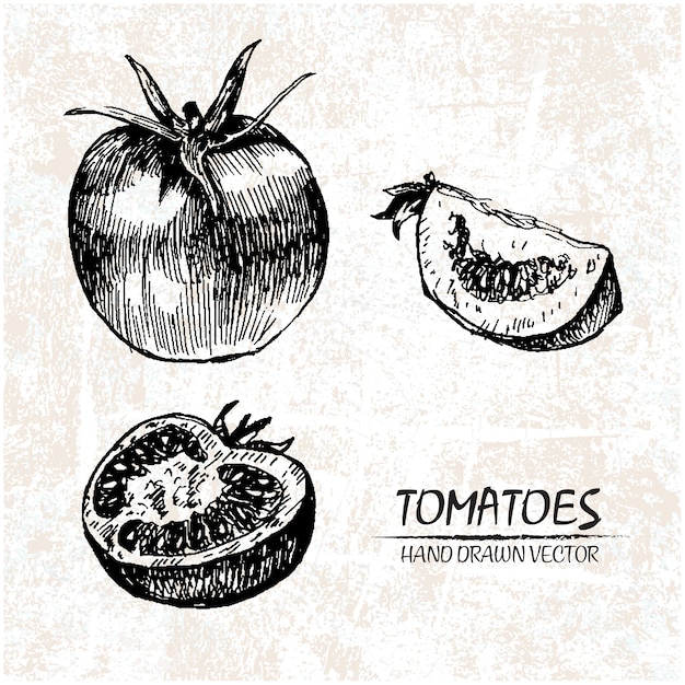 Hand drawn tomato design