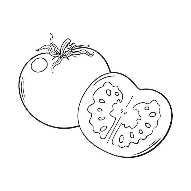 무료 Vector 손으로 그린 토마토 개요 그림