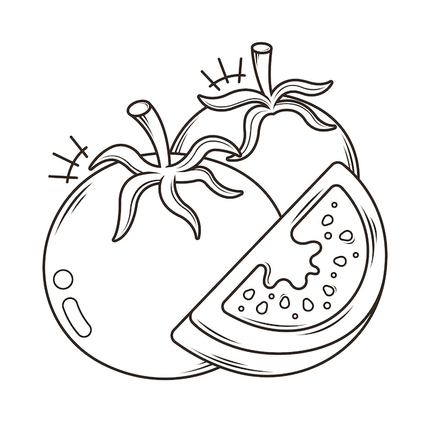 Нарисованная рукой иллюстрация контура помидора