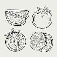 Vettore gratuito illustrazione del contorno del pomodoro disegnato a mano