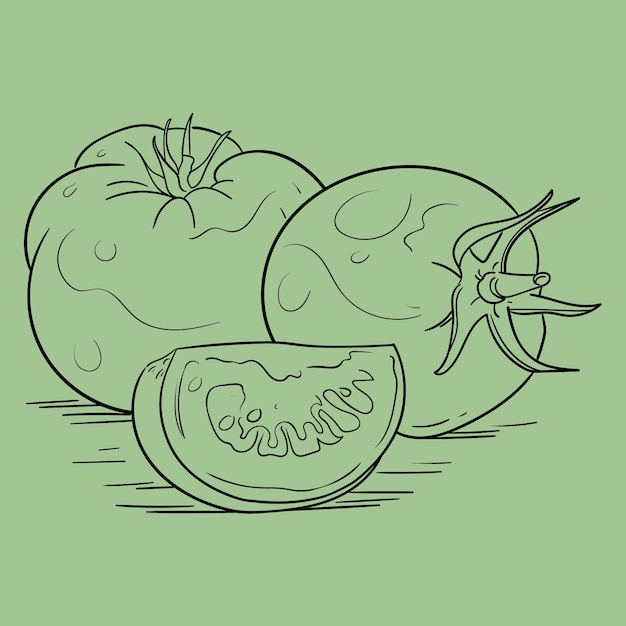 Бесплатное векторное изображение Иллюстрация очертаний помидоров, нарисованная вручную