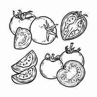 Free vector hand drawn tomato outline illustration