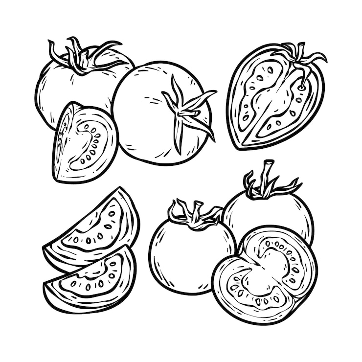 무료 Vector 손으로 그린 토마토 개요 그림