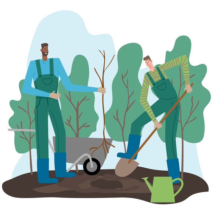 Free Vector hand drawn tree planting illustration