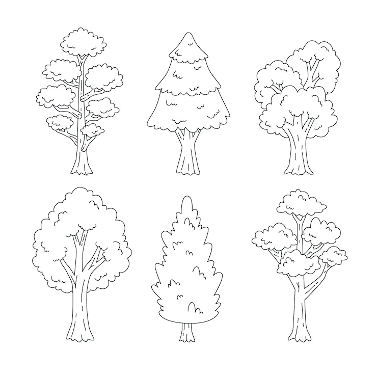 Free Vector hand drawn trees  outline illustration