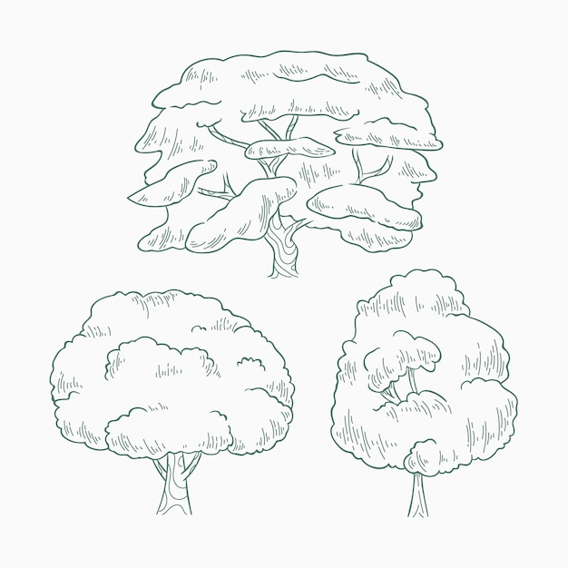 Free vector hand drawn trees outline illustration