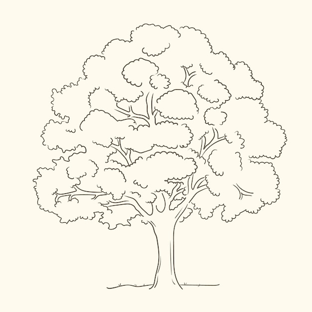 Oak Tree Drawing Images - Free Download on Freepik