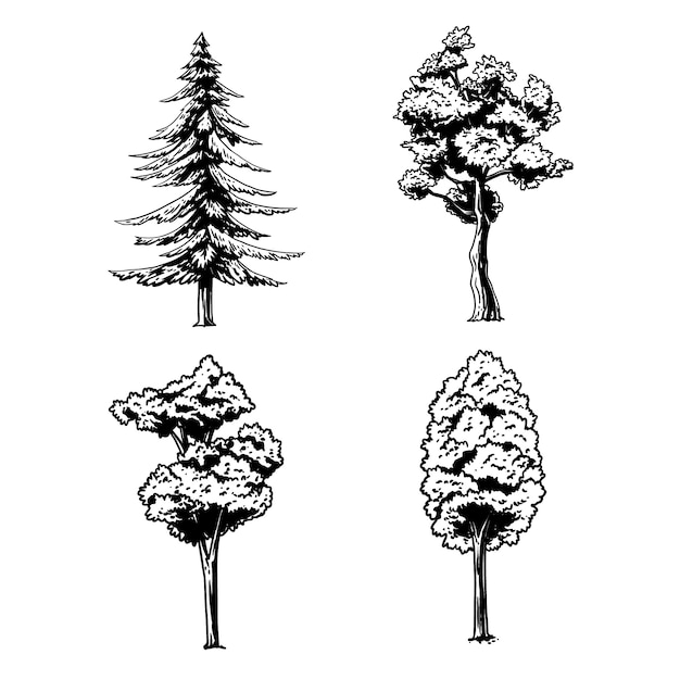 Hand drawn trees outline illustration