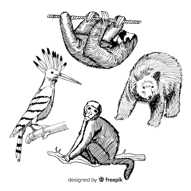 Бесплатное векторное изображение Ручной обращается коллекция тропических животных