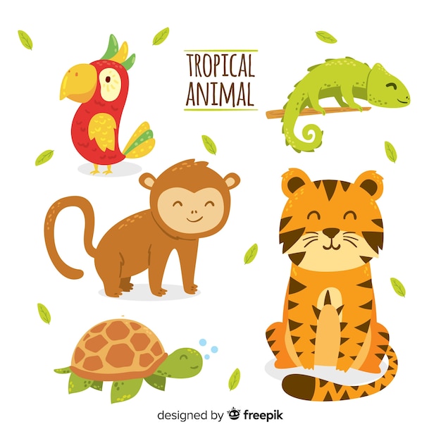 手描きの熱帯動物コレクション