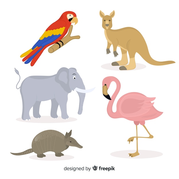 Hand drawn tropical animal collection