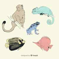 Free vector hand drawn tropical animal collection