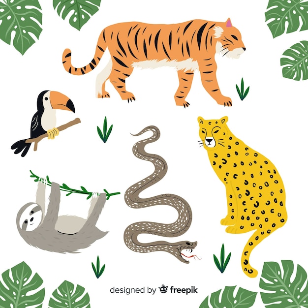 Free vector hand drawn tropical animal collection