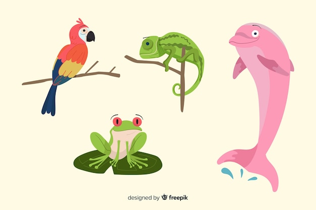 Vettore gratuito collezione di animali tropicali disegnati a mano