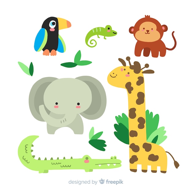 Hand drawn tropical animal collection