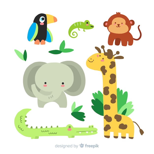 手描きの熱帯動物コレクション