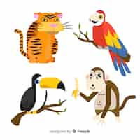 Free vector hand drawn tropical animal collection