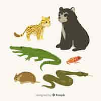 Free vector hand drawn tropical animal collection