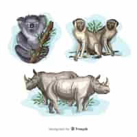 Free vector hand drawn tropical animal collection