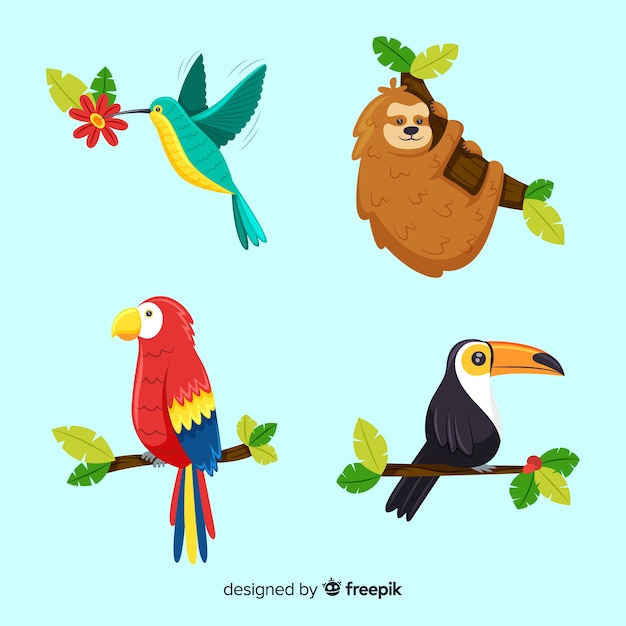 Collezione di animali tropicali disegnati a mano