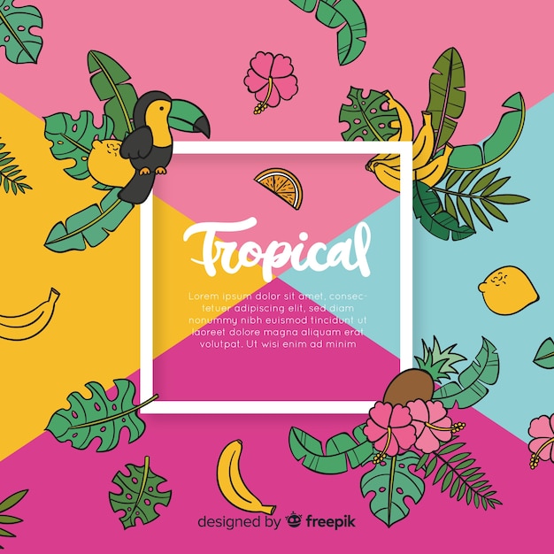 Free vector hand drawn tropical background
