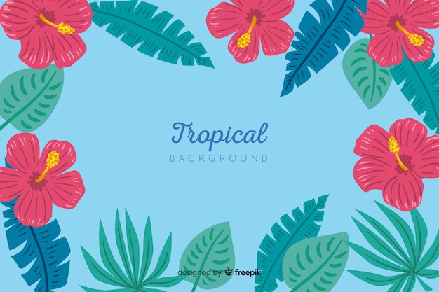 Free Vector hand drawn tropical background