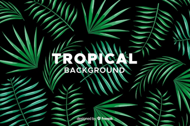 Hand drawn tropical background