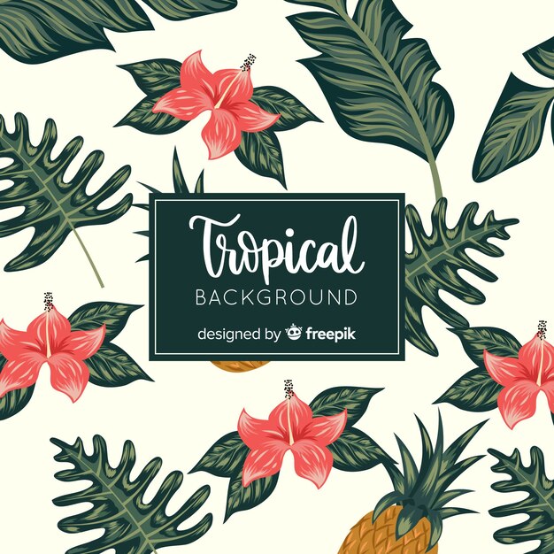 Hand drawn tropical background