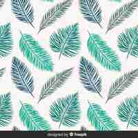 Free vector hand drawn tropical background