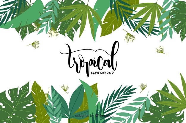 Hand drawn tropical background