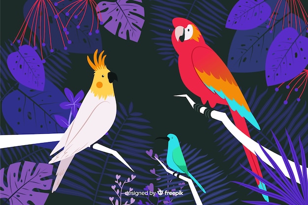 Hand drawn tropical birds and leaves background