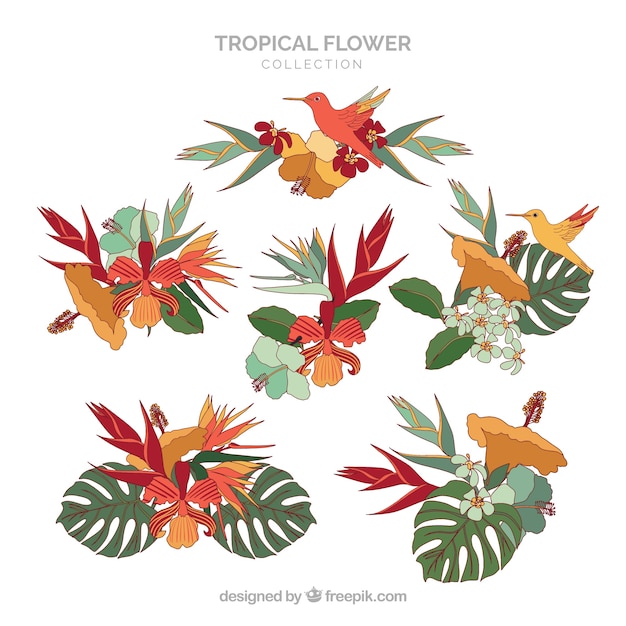 Hand drawn tropical flower collection with colorful leaves