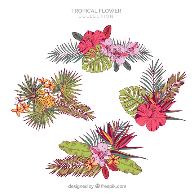 Raccolta di fiori tropicali disegnati a mano