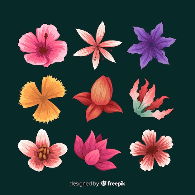 Hand drawn tropical flower pack