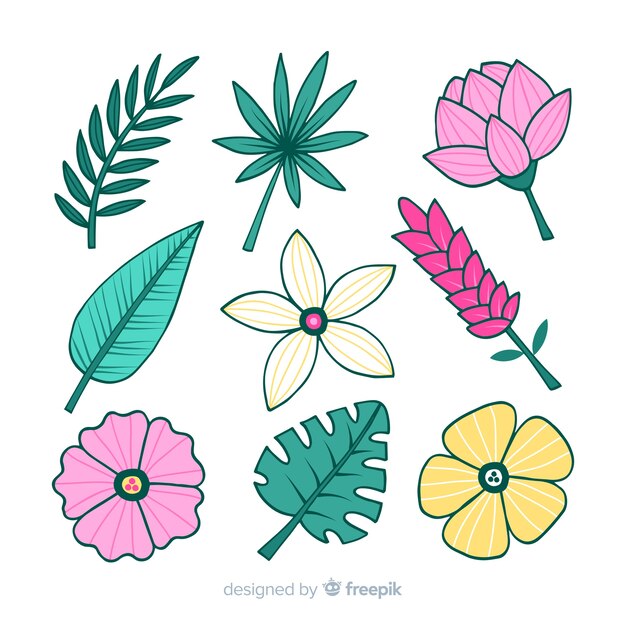 Hand drawn tropical flowers and leaves pack