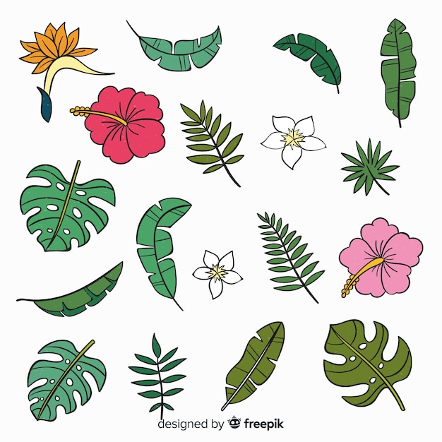 Hand drawn tropical flowers and leaves