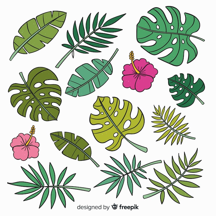 Free Vector hand drawn tropical flowers and leaves