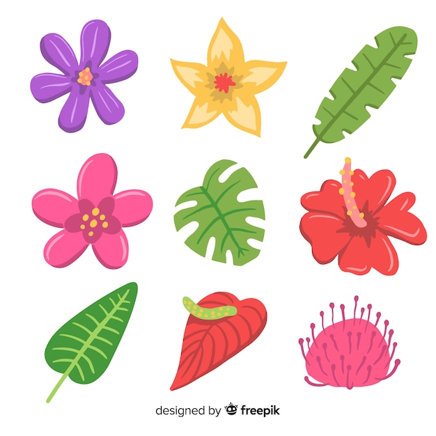 Free vector hand drawn tropical flowers and leaves