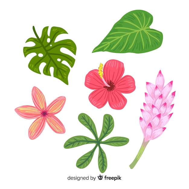 Free vector hand drawn tropical flowers and leaves