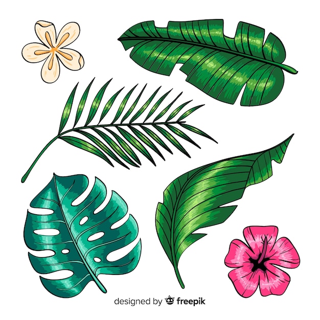 Hand drawn tropical flowers and leaves