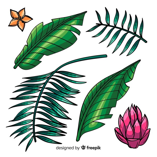 Hand drawn tropical flowers and leaves