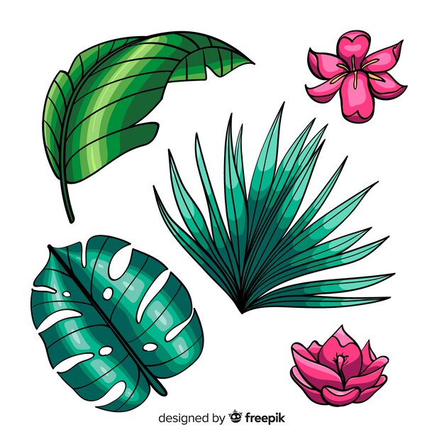 Hand drawn tropical flowers and leaves