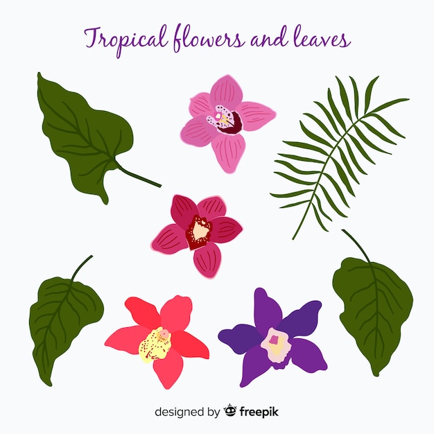 Hand drawn tropical flowers and leaves