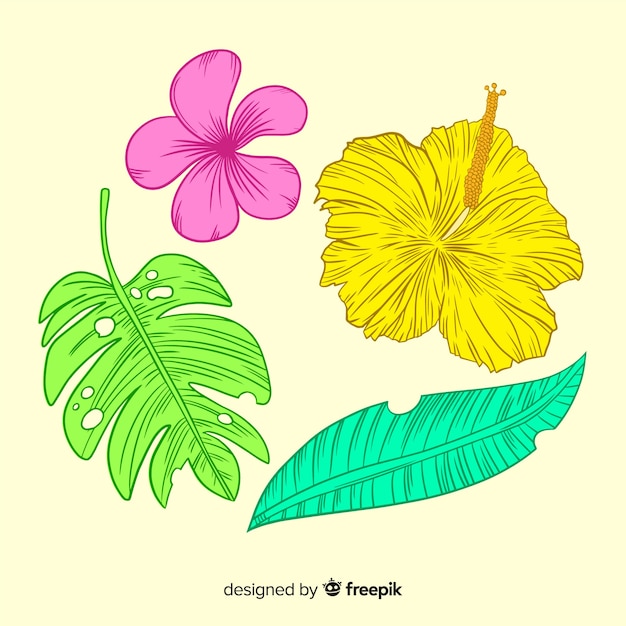 Hand drawn tropical flowers and leaves