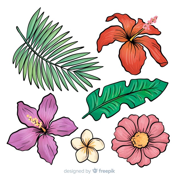 Hand drawn tropical flowers and leaves