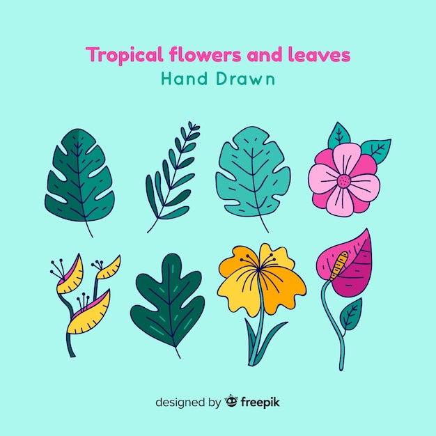 Free vector hand drawn tropical flowers and leaves