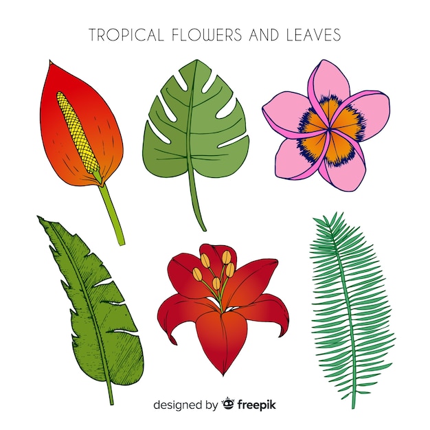 Hand drawn tropical flowers and leaves