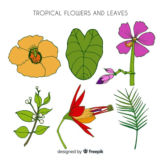 手描きの熱帯の花と葉